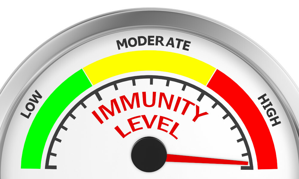Immune Support